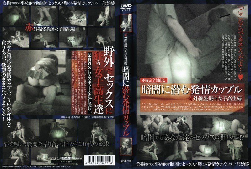 CAT-027 Infrared voyeur @ schoolgirl edition: A horny couple hiding in the darkness